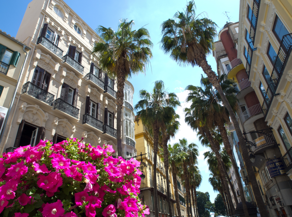  Die Innenstadt von Málaga