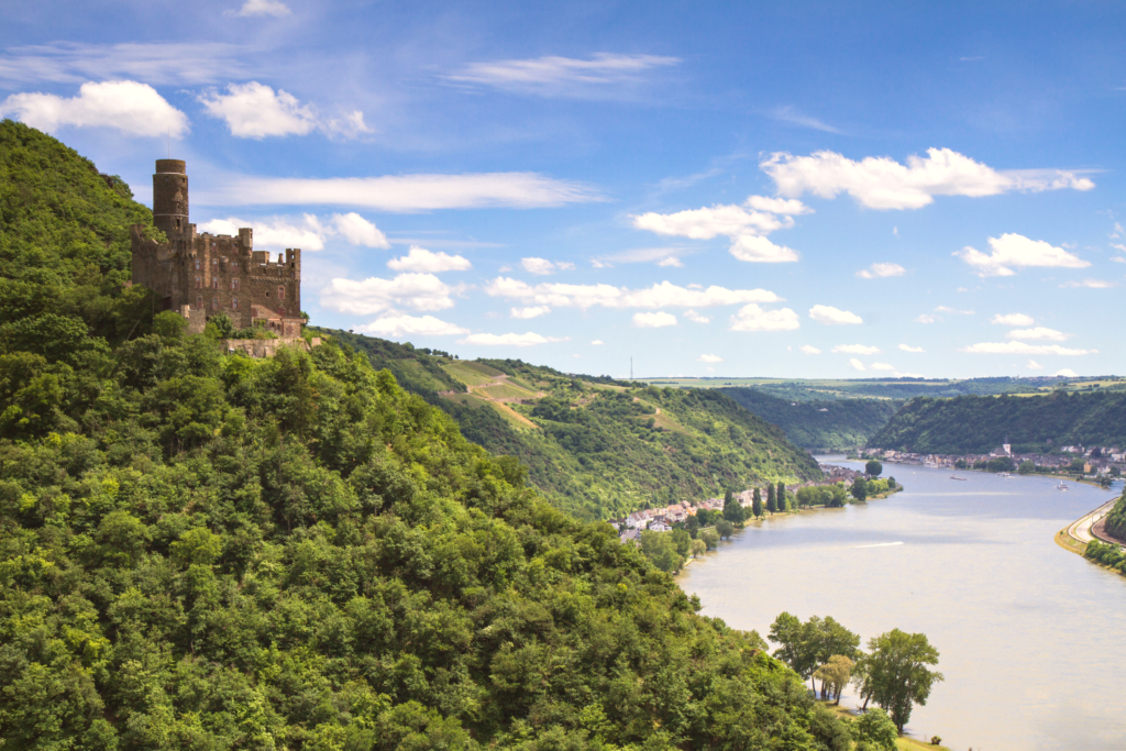 [Blick auf Rhein mit Burg im Vordergrund]
Auf dem Hang stehende mittelalterliche Burgruine mit Blick auf den Fluss Rhein.