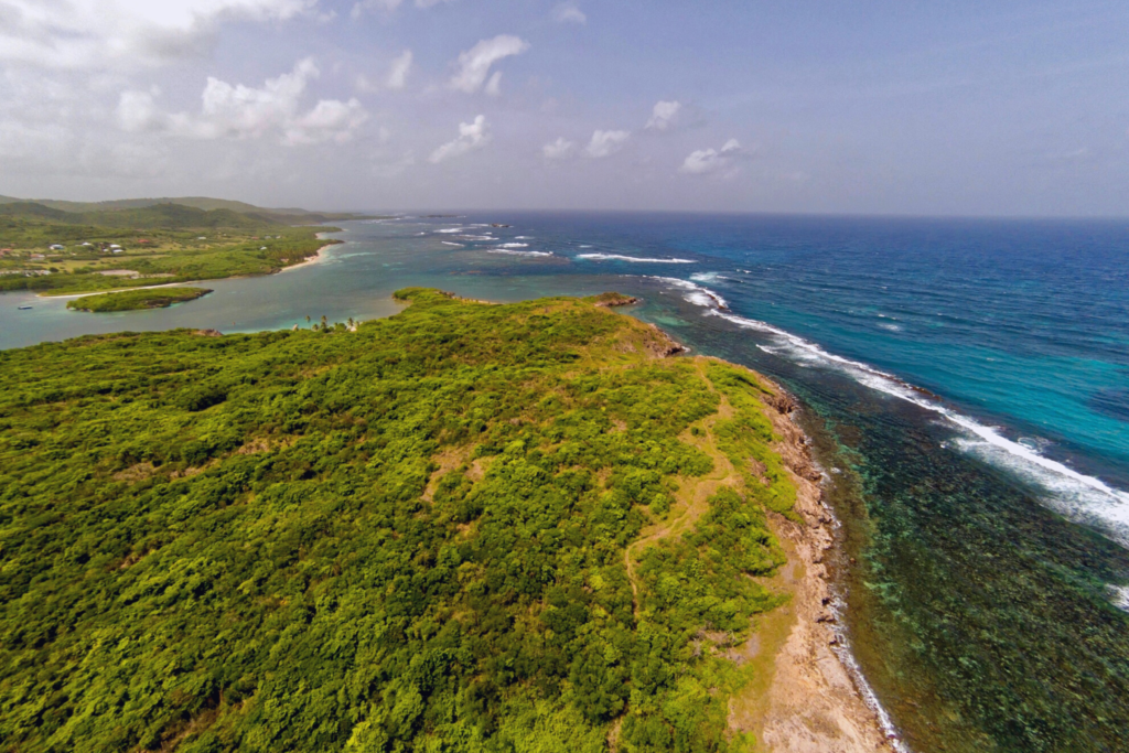 Flache Insel Chevalier, dicht grün bewachsen und fabelhafter kleiner Pfad in den Horizont der Karibik