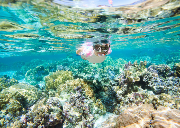 Schnorcheln auf Ibiza mit Korallenriff