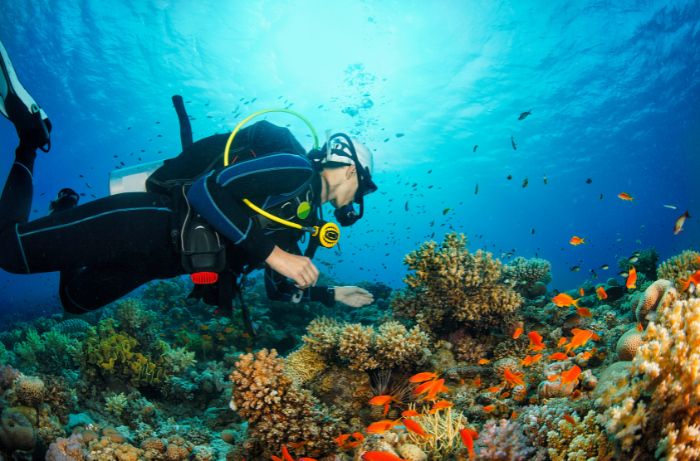Tauchgang auf mit Korallenriff in deinem der besten Tauchplätze Ibizas