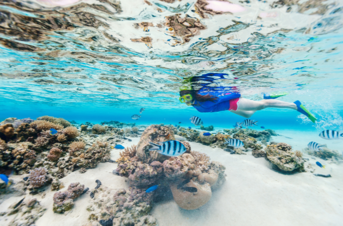 Schnorcheln in der besten Tauchplätze Ibizas mit bunten Fischen und Korallen