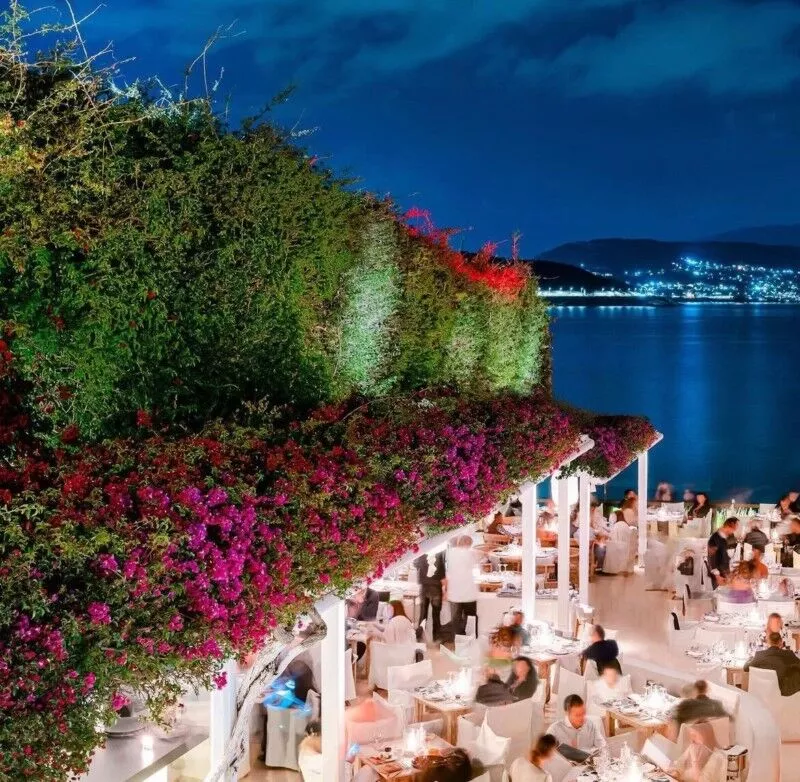 Eines der besten Restaurants in Athen: Island