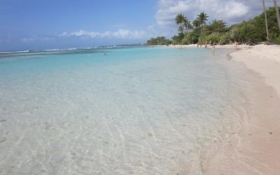 7-Tages-Törn in Guadeloupe: Ihr perfekter Karibikurlaub