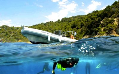 Tauchcharter & Bootsausflüge in Ibiza