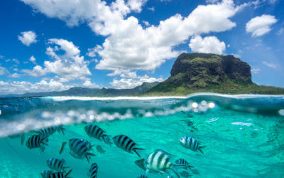 Buchen Sie einen geführten Angelausflug auf den Bahamas