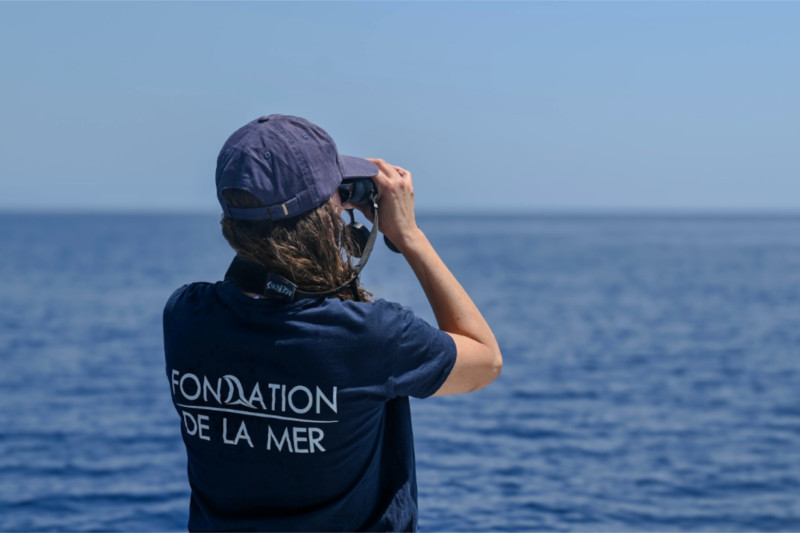 Mitarbeiter der Fondation de la Mer bei einer Beobachtungsmission auf See